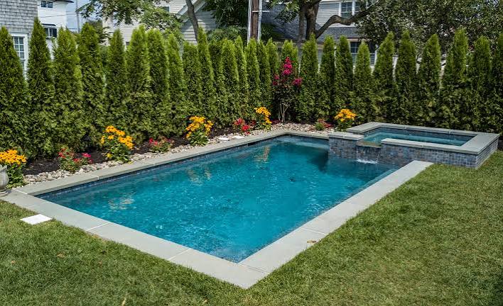 Rectangular pool framed by arborvitae privacy screen