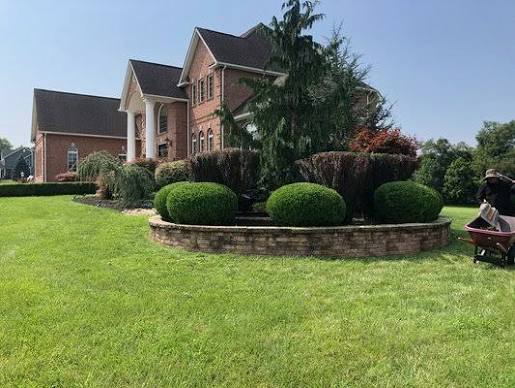 Brick colonial with formal boxwood island and stone border