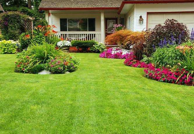 Colorful front yard perennial garden in full bloom